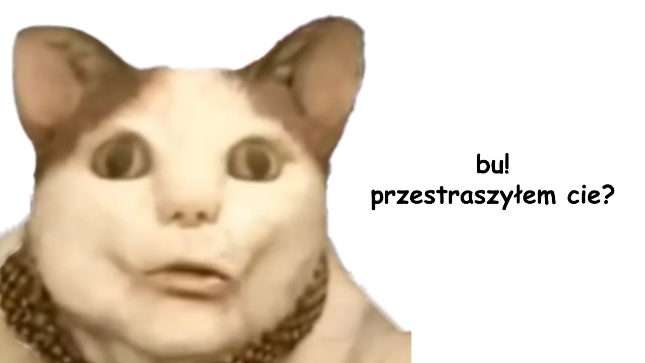 Nie boj się nie lękaj się, pokonaj swoje lęki i żyj pełnią życia