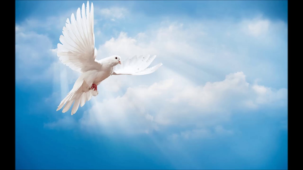 Przyjdź Duchu Święty napełnij me serce miłością i radością
